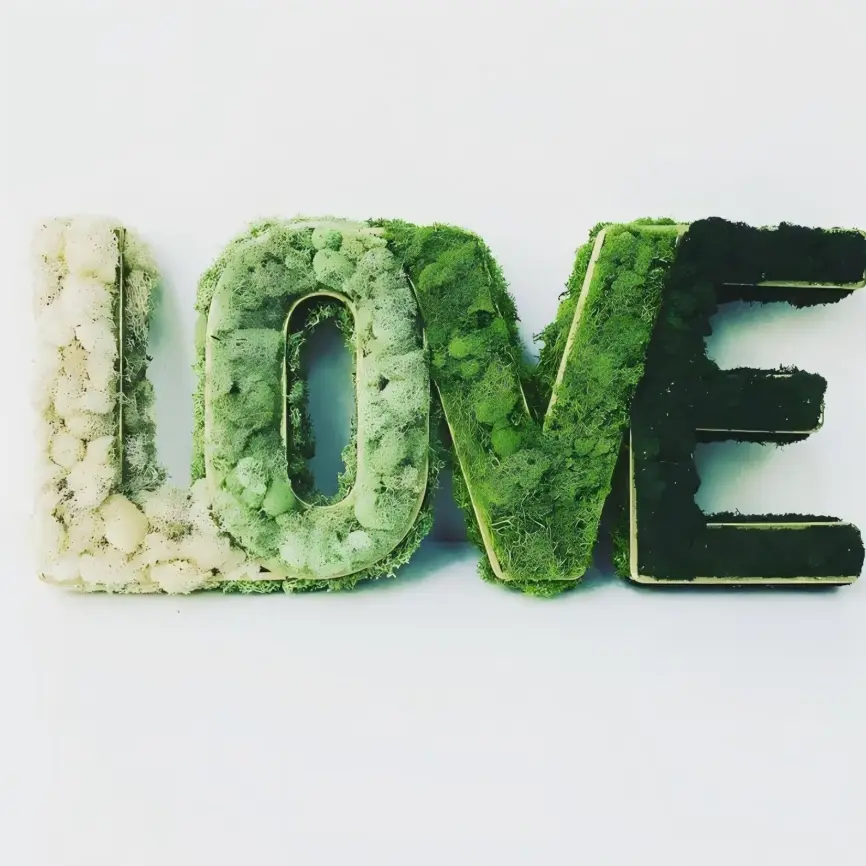 Kullanımı kolay Bahçe Partisi Neon Işık Şirketi 3