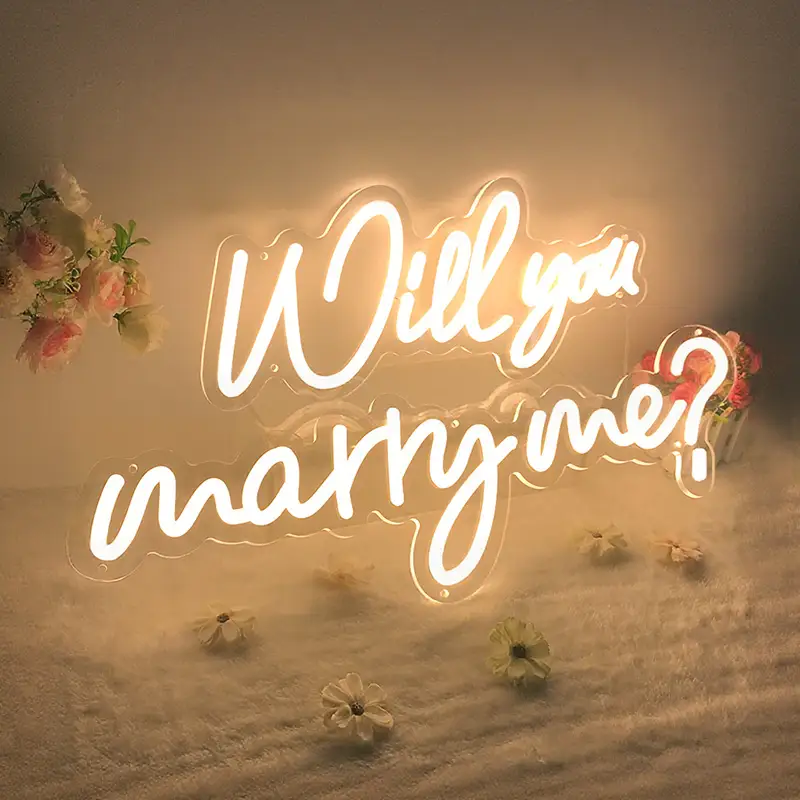 Immediate Delivery Warm White Lighting Brightness Changeable Neon Sign Light for Propose 1